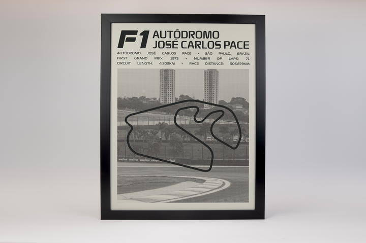 Autódromo José Carlos Pace Poster – Picture Series